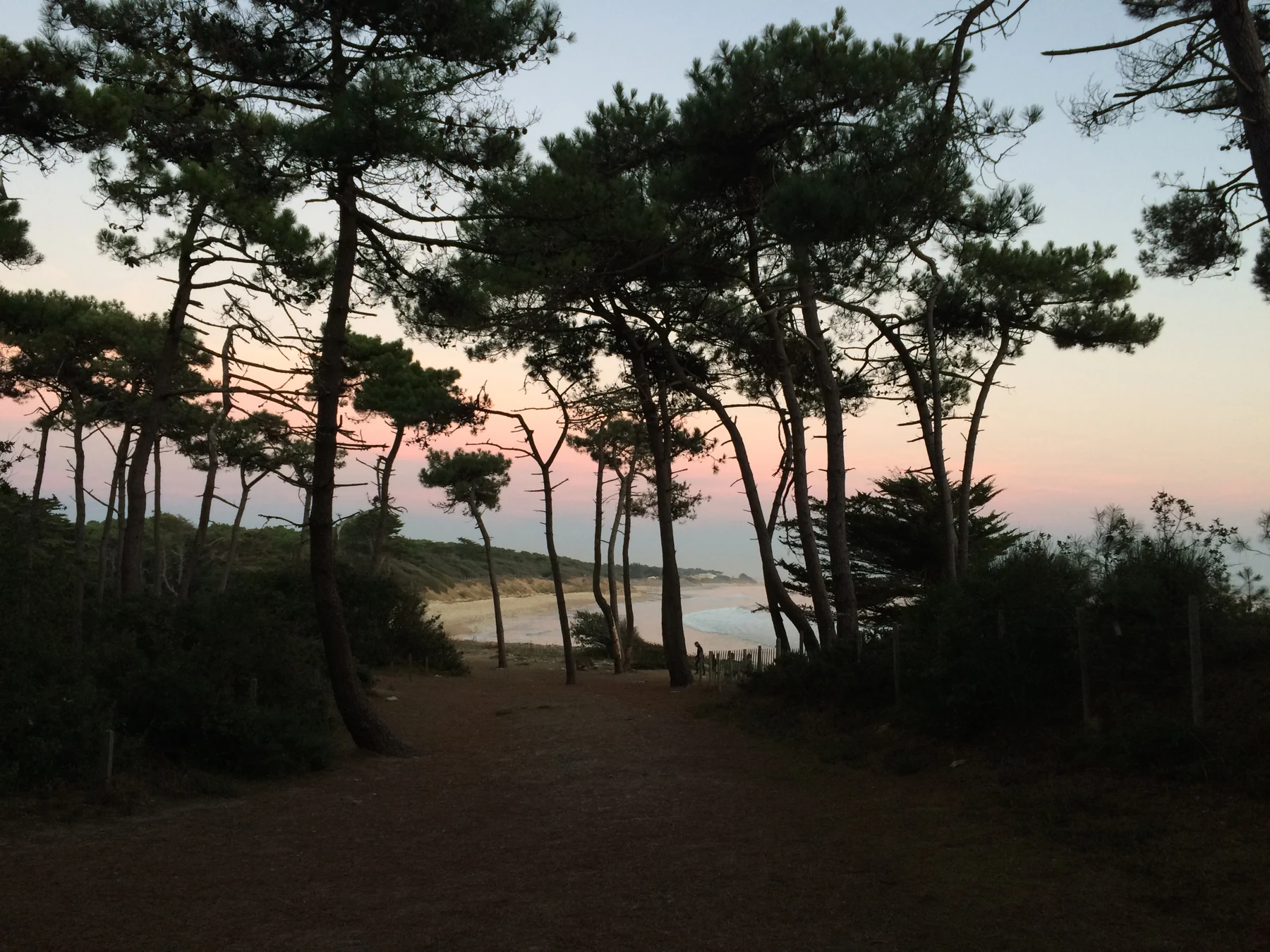 Paysage de  Jard-sur-Mer — Photographie