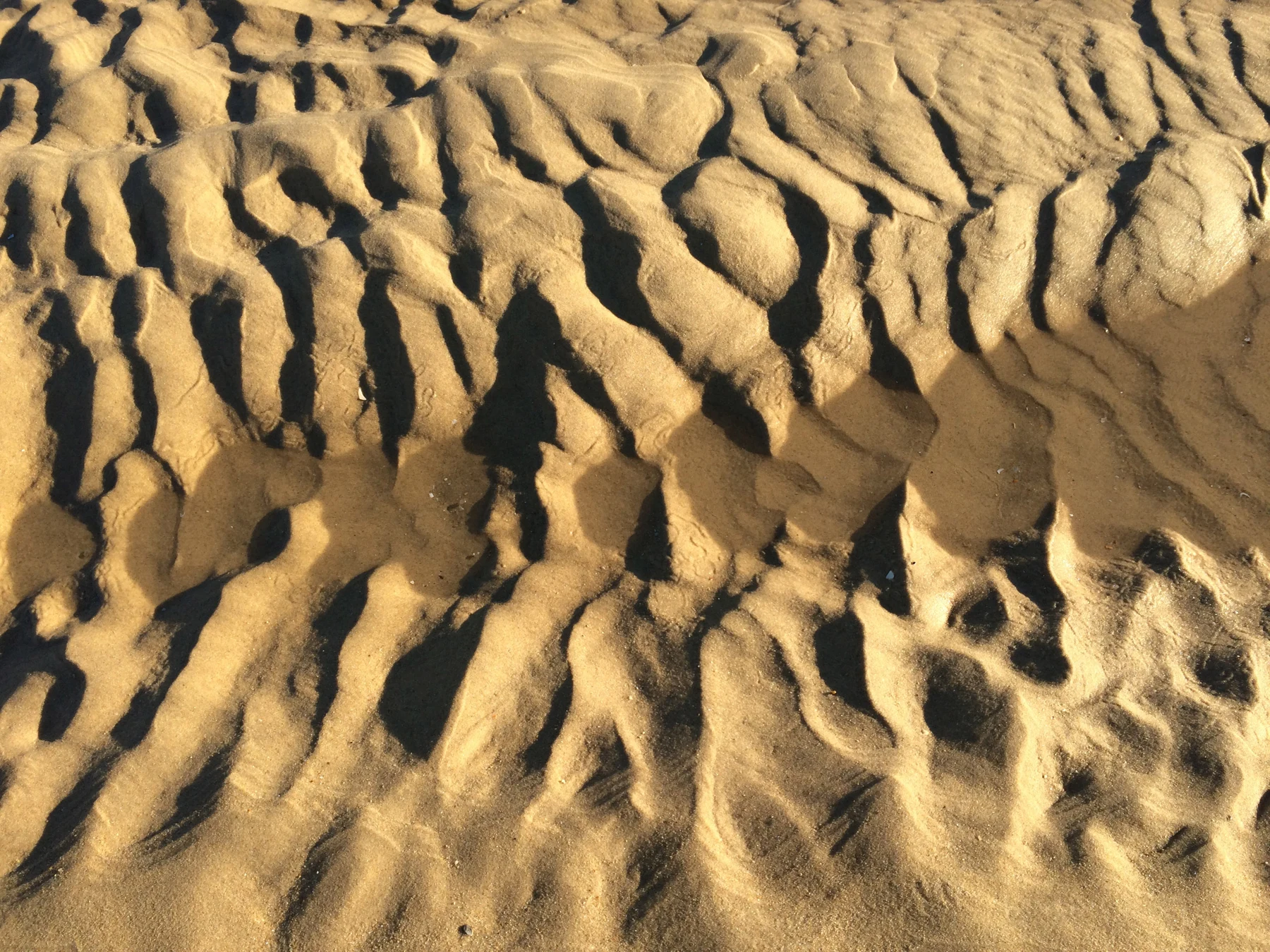 La plage de Lacanau — Photographie