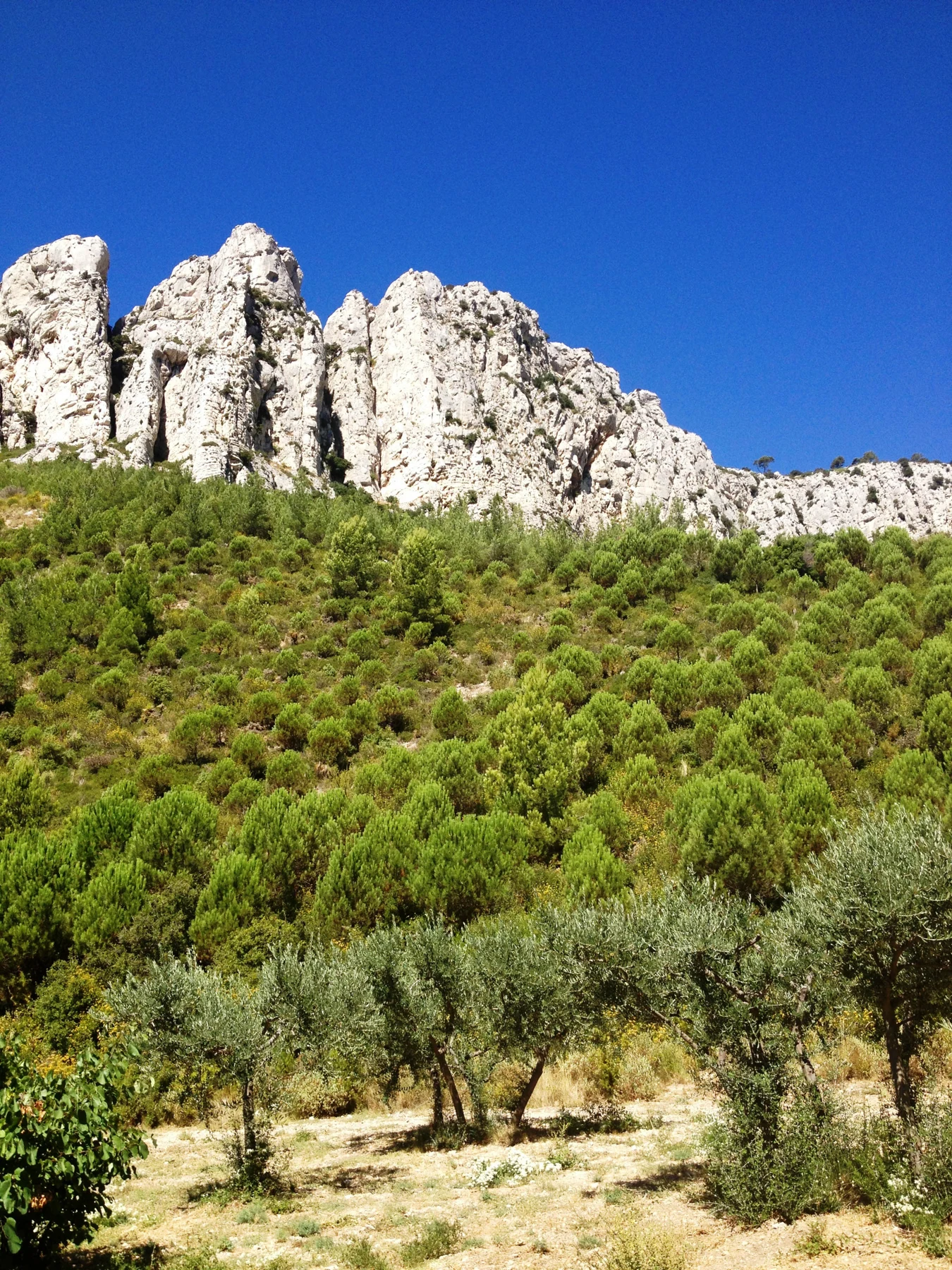 La Sainte Beaume — Photographie