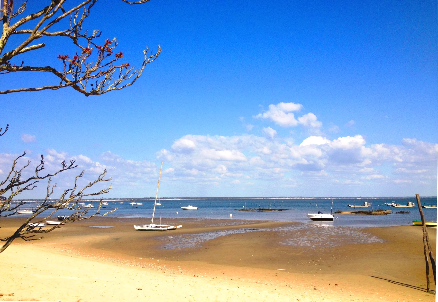 Le paysage du Bassin d’arcachon — Photographie