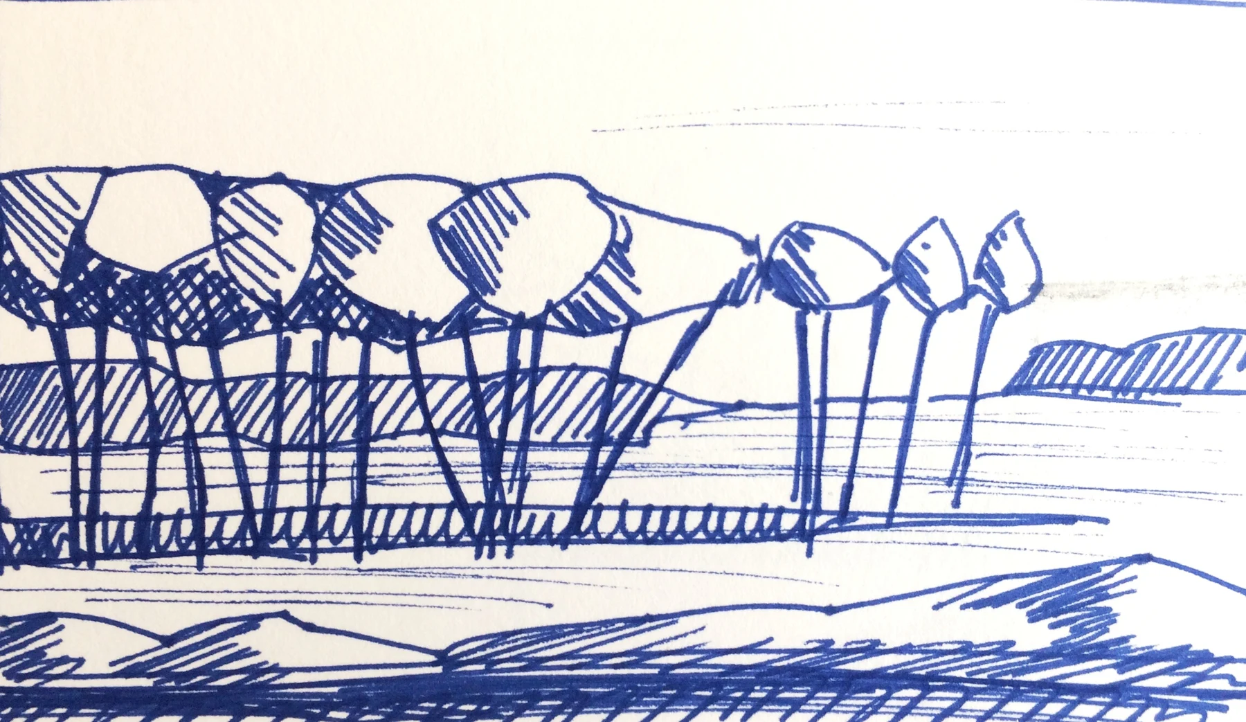 Landes — croquis 2 — Dessin