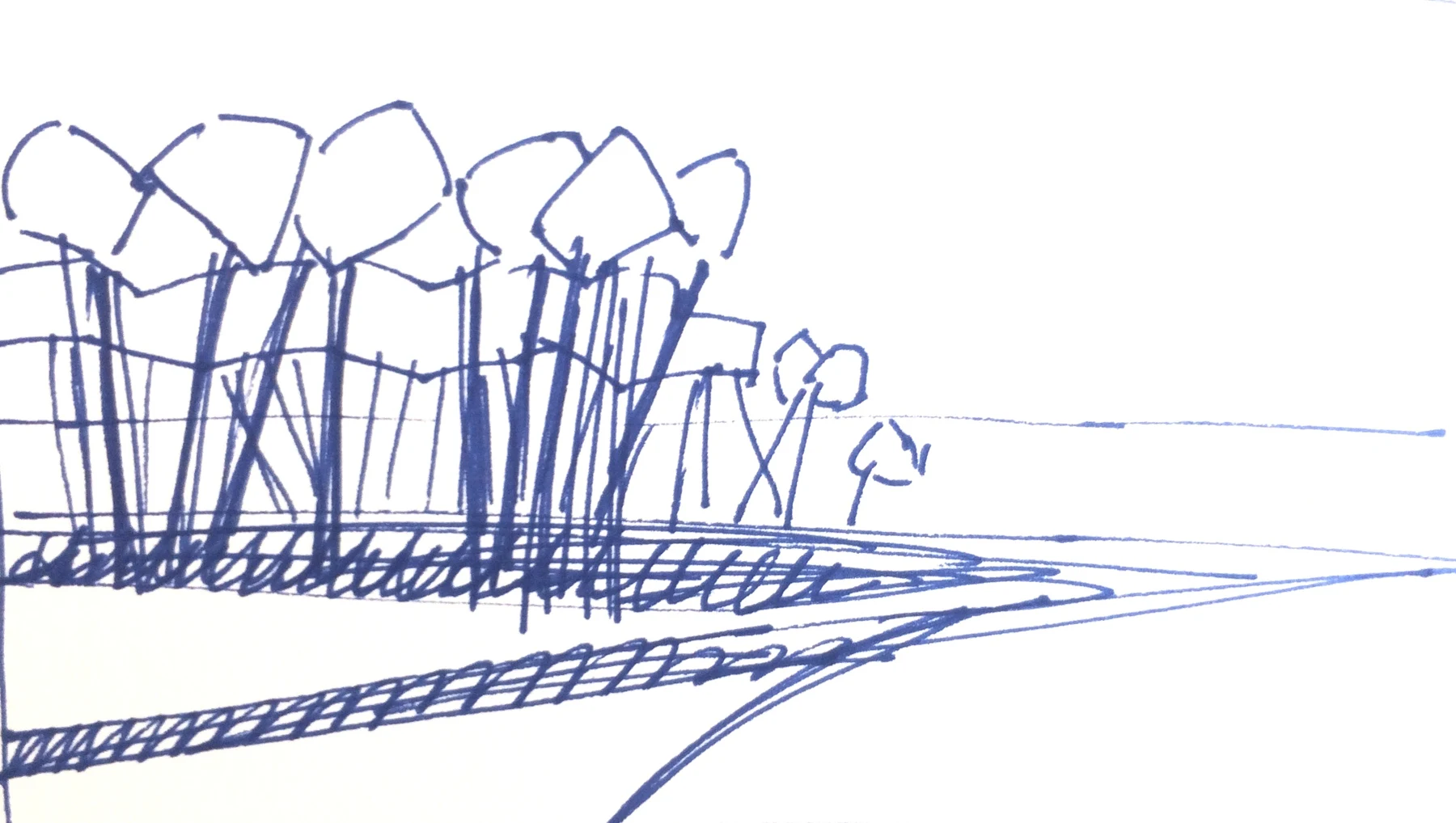 Landes — Croquis — Dessin